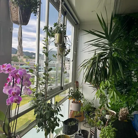 Apartment Koselig Bergen